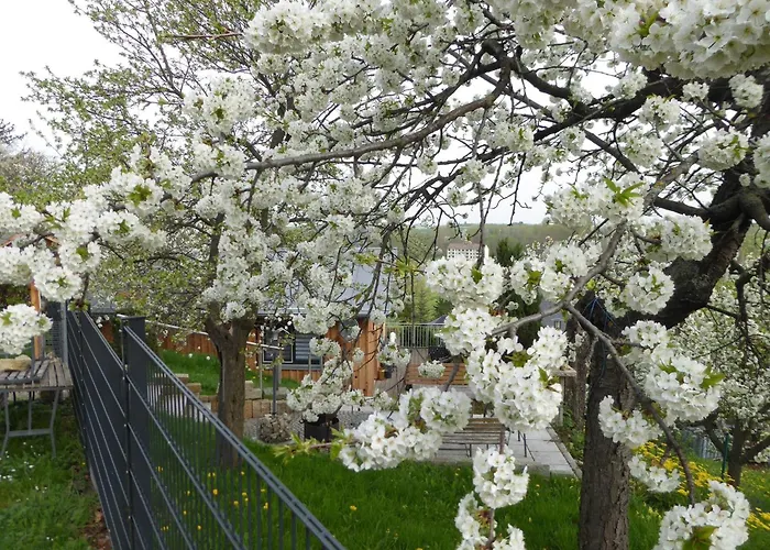 In Thale - Neinstedt