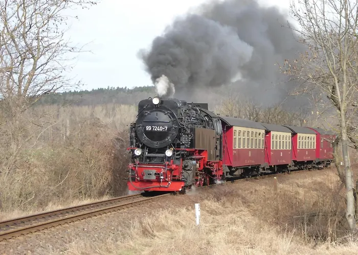 In Thale - * Neinstedt